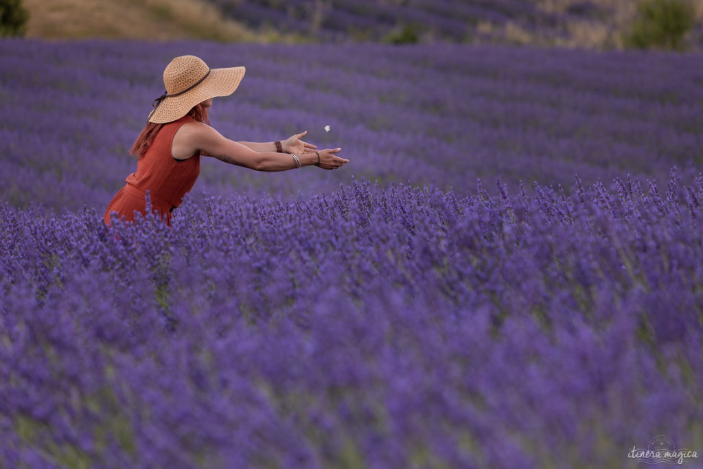 Weniger bekannte, geheime Lavendelfelder in der Provence