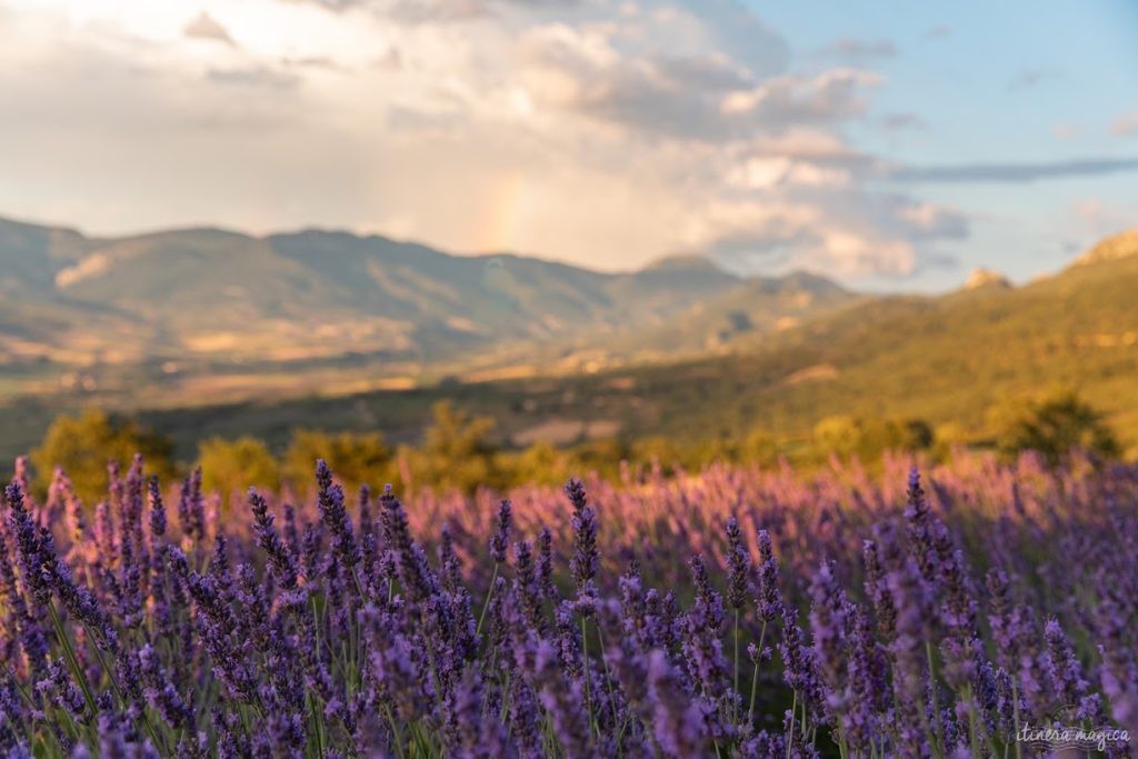 Les Baronnies provençales: plus belles randonnées, villages, activités de pleine nature et lavandes de la Drôme.