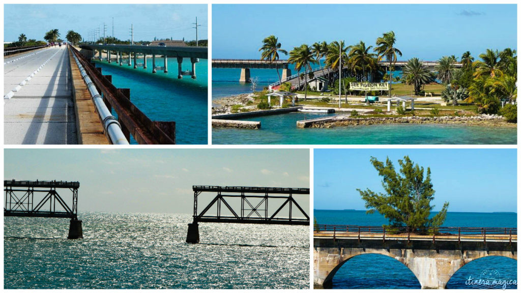 Key West, paradis tropical, jardin enchanté, est aussi le lieu de fête privilégié de la communauté LGBT. Venez bronzer sous l'arc-en-ciel !