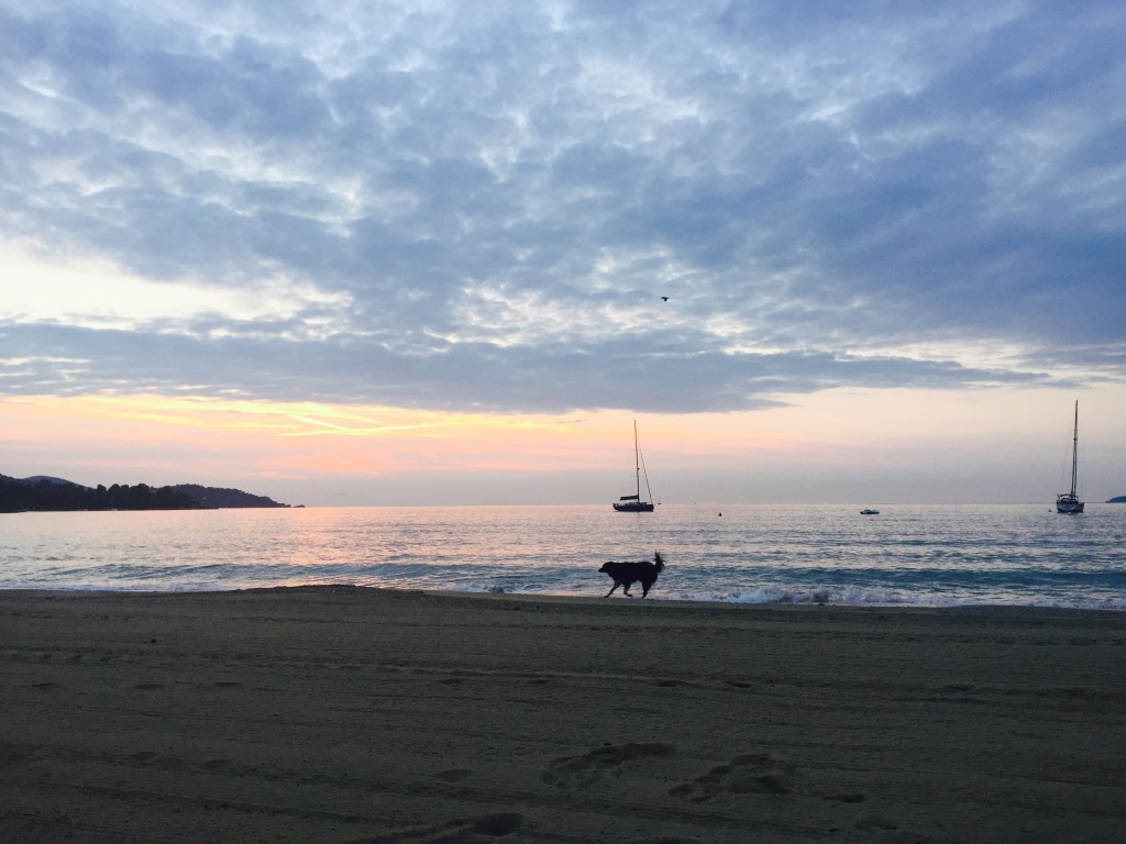 Lever de soleil sur la plage Saint Clair. Un bateau, un chien, un oiseau.