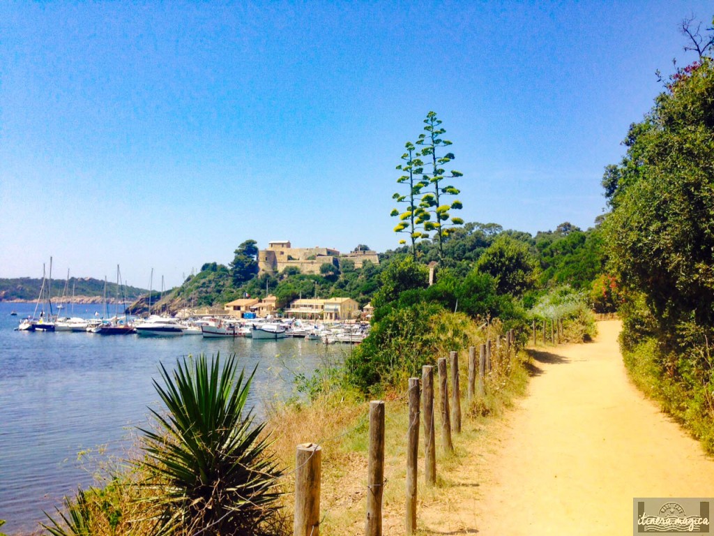 Port-Cros, côte d'azur, plage, voyage, paradis