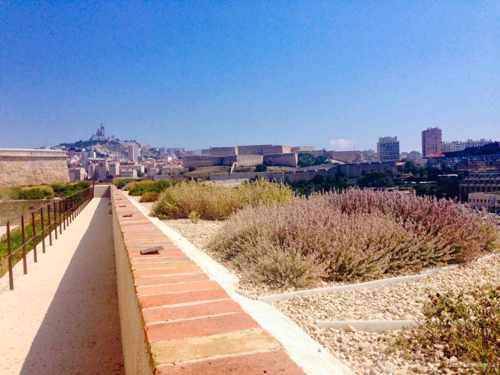 Marseille, MUCEM, vieux port, fort Saint Jean, fleurs