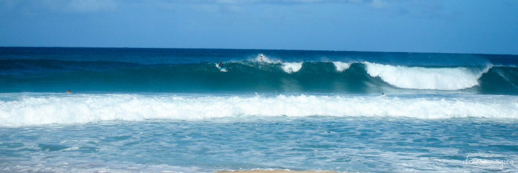 Surfers on the Northshore.