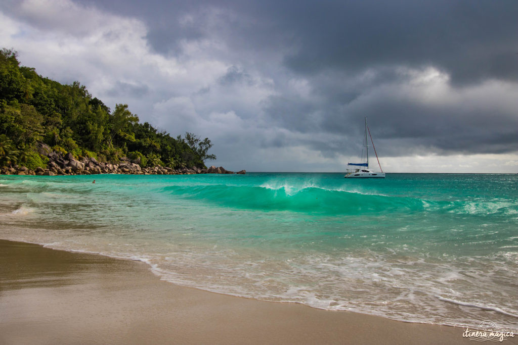 Seychelles: les plus belles plages du monde, des paysages paradisiaques, des tortues géantes, une faune et une flore uniques. Découvrez le paradis dans l'océan Indien !