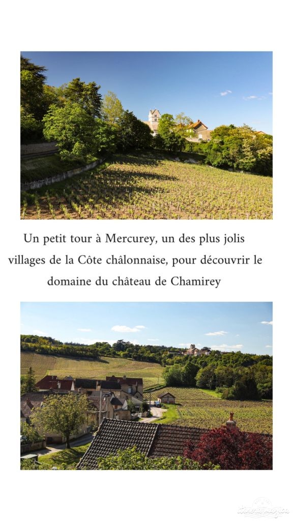 Que voir en Saône-et-Loire ? Tourisme et bonnes adresses à Châlon-sur-Saône, Tournus, Mâcon, le Beaujolais. Châteaux de Saône-et-Loire