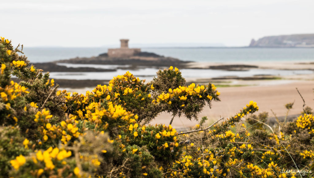 Tout recommencer à Jersey ? Virée insulaire sur les traces de Victor Hugo, dans la ravissante île anglo-normande fleurie.