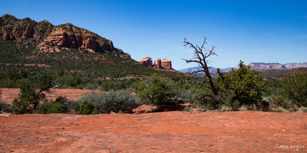 Surplombée par d’immenses rochers rouges, Sedona est un décor de western parfait. Mais au-delà de la beauté de ses paysages, Sedona cache un secret. Ici, des vortex d’énergie tourbillonnent, des ovnis clignotent dans le ciel, et on guette les extraterrestres. Découvrez les secrets de l’Arizona sur Itinera Magica.