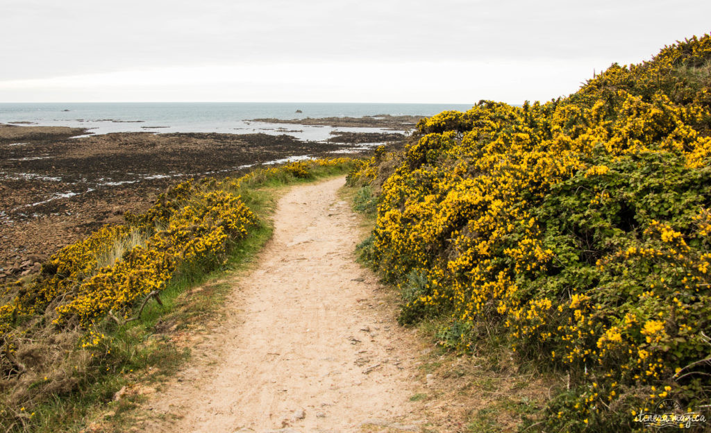 Tout recommencer à Jersey ? Virée insulaire sur les traces de Victor Hugo, dans la ravissante île anglo-normande fleurie.