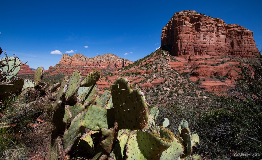 Surplombée par d’immenses rochers rouges, Sedona est un décor de western parfait. Mais au-delà de la beauté de ses paysages, Sedona cache un secret. Ici, des vortex d’énergie tourbillonnent, des ovnis clignotent dans le ciel, et on guette les extraterrestres. Découvrez les secrets de l’Arizona sur Itinera Magica.