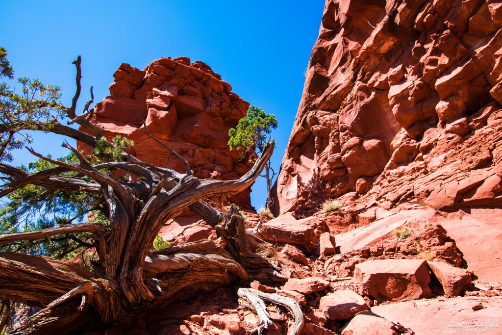 Surplombée par d’immenses rochers rouges, Sedona est un décor de western parfait. Mais au-delà de la beauté de ses paysages, Sedona cache un secret. Ici, des vortex d’énergie tourbillonnent, des ovnis clignotent dans le ciel, et on guette les extraterrestres. Découvrez les secrets de l’Arizona sur Itinera Magica.