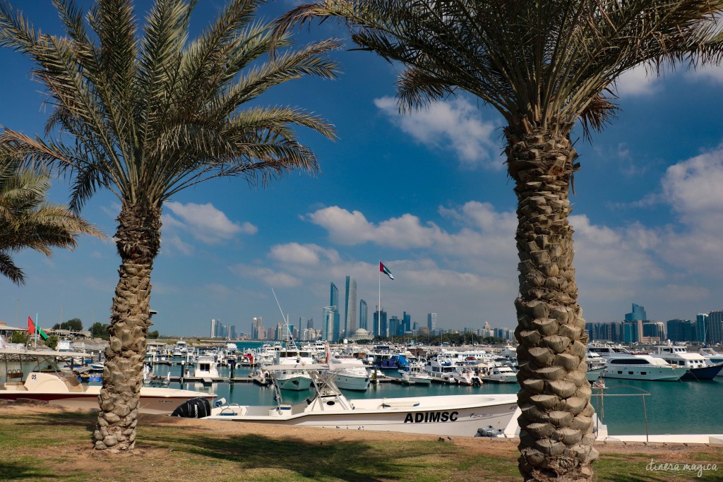 Entre deux palmiers, la marina d'Abu Dhabi, et la skyline en arrière plan.