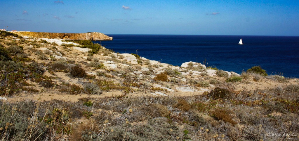 Boats off the coast of Sagres.