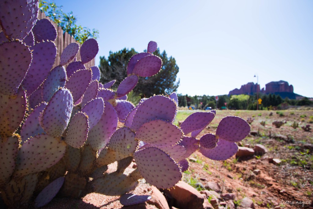 Surplombée par d’immenses rochers rouges, Sedona est un décor de western parfait. Mais au-delà de la beauté de ses paysages, Sedona cache un secret. Ici, des vortex d’énergie tourbillonnent, des ovnis clignotent dans le ciel, et on guette les extraterrestres. Découvrez les secrets de l’Arizona sur Itinera Magica. 