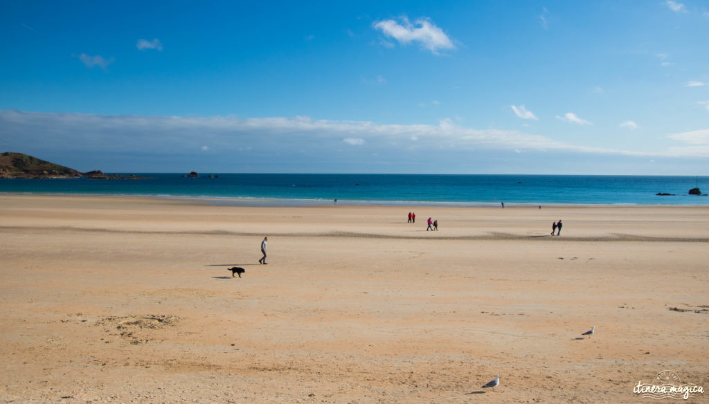 Tout recommencer à Jersey ? Virée insulaire sur les traces de Victor Hugo, dans la ravissante île anglo-normande fleurie.