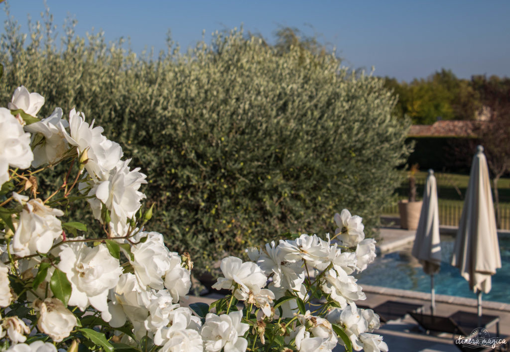 Hotel romantique avec piscine et spa à Forcalquier, haute provence.Week end romantique provence