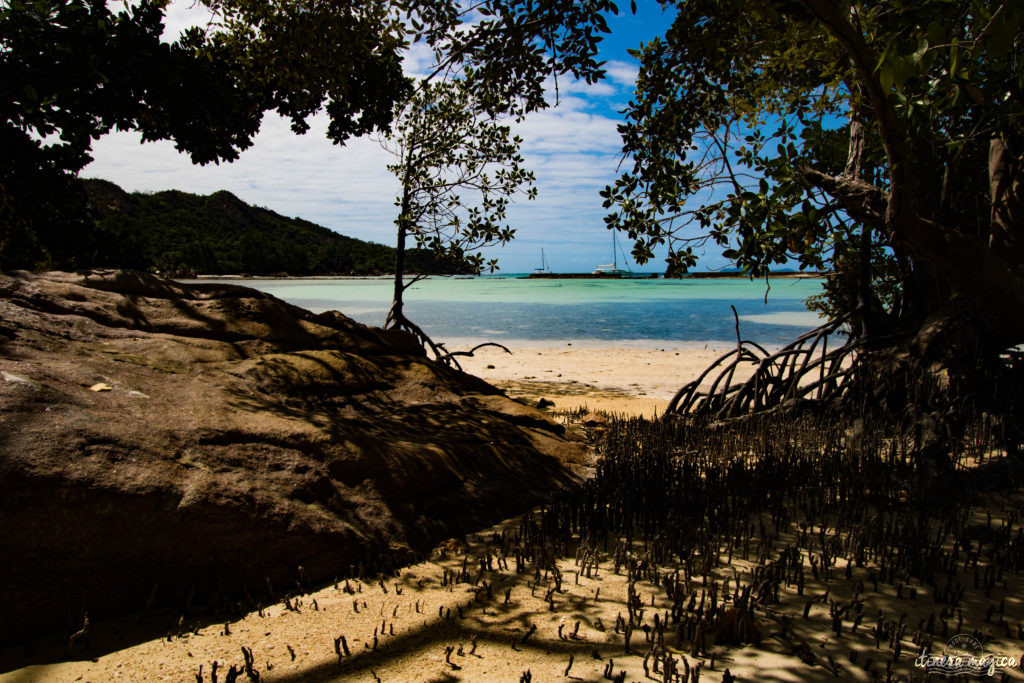 Vous rêvez d'un voyage aux Seychelles ? Je vous livre les clefs du paradis. Itinéraires, excursions, hôtels, astuces, bons plans sur Itinera Magica.