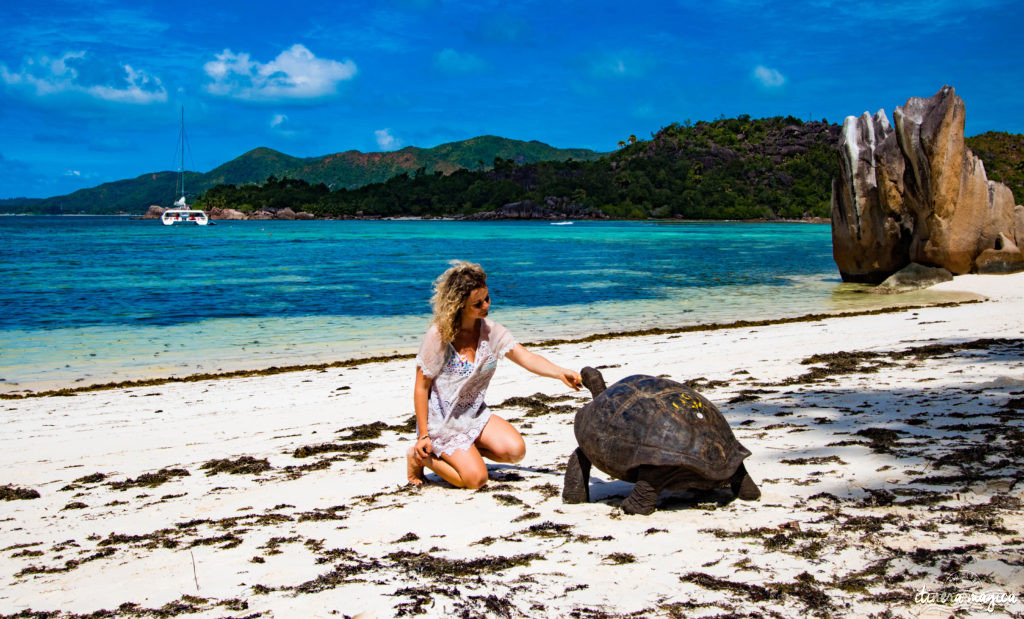 Seychelles: les plus belles plages du monde, des paysages paradisiaques, des tortues géantes, une faune et une flore uniques. Découvrez le paradis dans l'océan Indien !