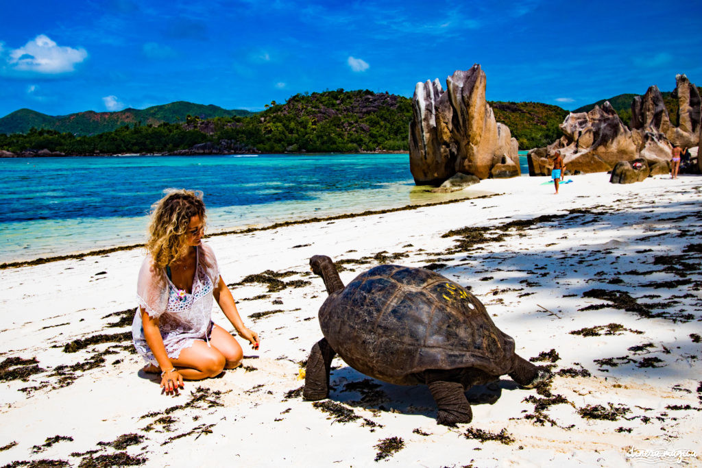 Voyage privé, ça vaut le coup ? J'ai testé Voyage Privé aux Seychelles : mon avis détaillé.