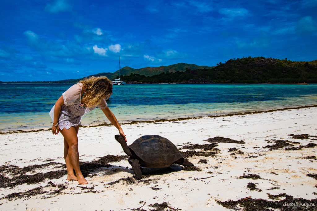 Seychelles: les plus belles plages du monde, des paysages paradisiaques, des tortues géantes, une faune et une flore uniques. Découvrez le paradis dans l'océan Indien !