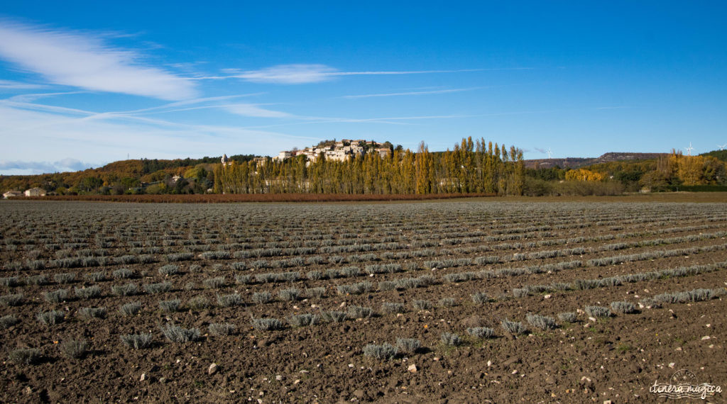 Découvrez les meilleurs restaurants en Drôme provençale. Meilleur restaurant Valaurie