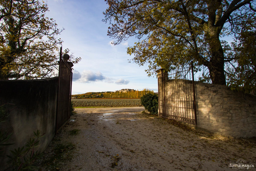 Découvrez les meilleurs restaurants en Drôme provençale. Meilleur restaurant Valaurie