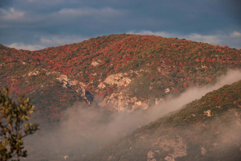 Où voir les couleurs d'automne ? Les plus belles couleurs d'automne en France