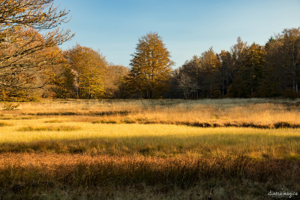 Que voir et que faire sur l'Aubrac ? Activités et choses à voir à Laguiole et Brameloup, brame du cerf, burons, fromages. Blog Aubrac, nord Aveyron