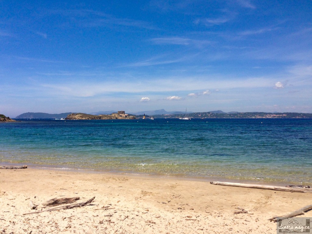 langoustier, porquerolles, plage, france, paca