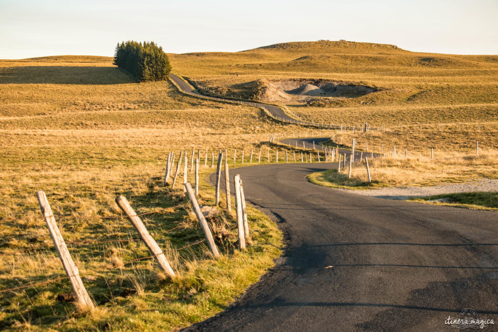 Que voir et que faire sur l'Aubrac ? Activités et choses à voir à Laguiole et Brameloup, brame du cerf, burons, fromages. Blog Aubrac, nord Aveyron