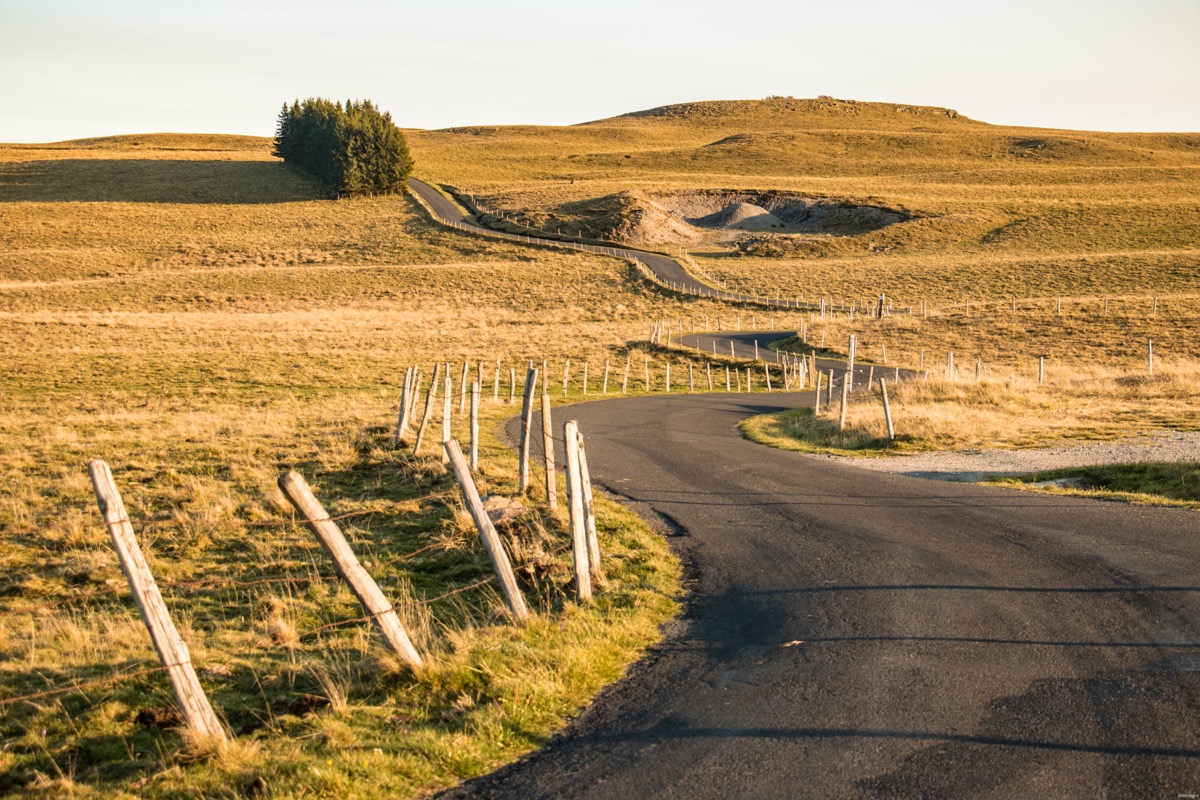 Que voir et que faire sur l'Aubrac ? Activités et choses à voir à Laguiole et Brameloup, brame du cerf, burons, fromages. Blog Aubrac, nord Aveyron