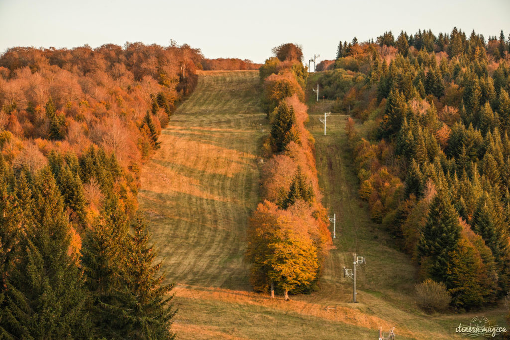 Que voir et que faire sur l'Aubrac ? Activités et choses à voir à Laguiole et Brameloup, brame du cerf, burons, fromages. Blog Aubrac, nord Aveyron