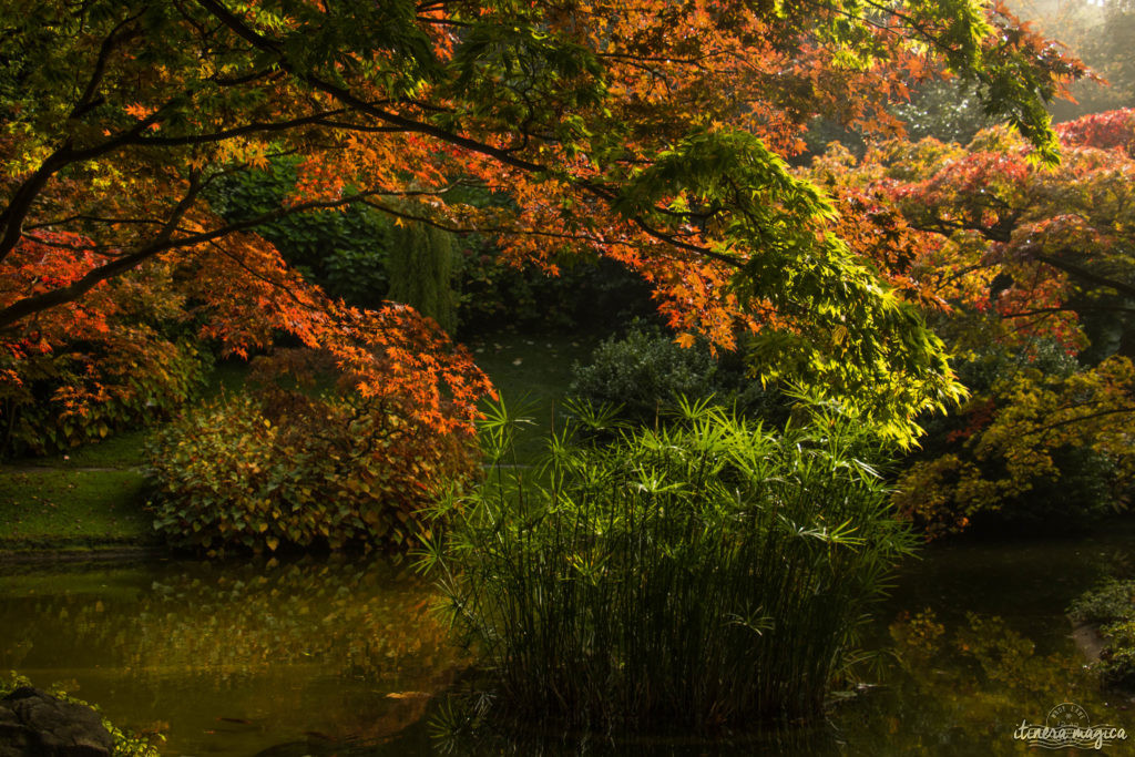 villa melzi bellagio lac de côme à l'automne plus belle villa automne