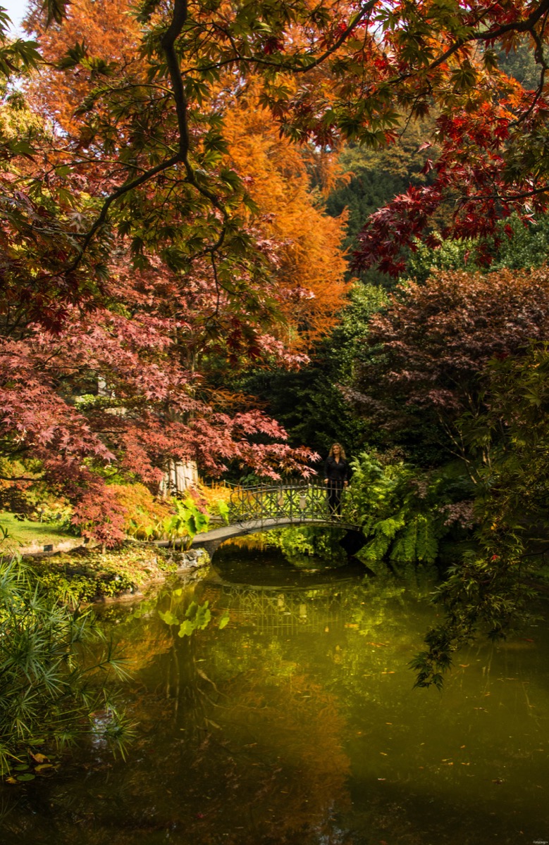 villa melzi bellagio lac de côme à l'automne plus belle villa automne