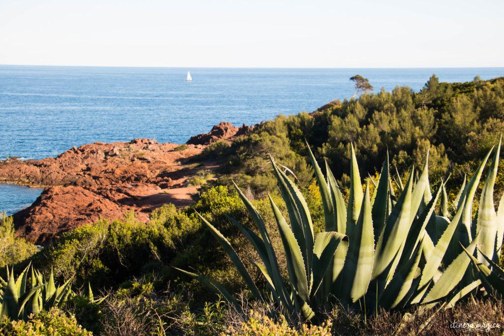  Depuis le Cap Dramont, vue sur la rade d'Agay