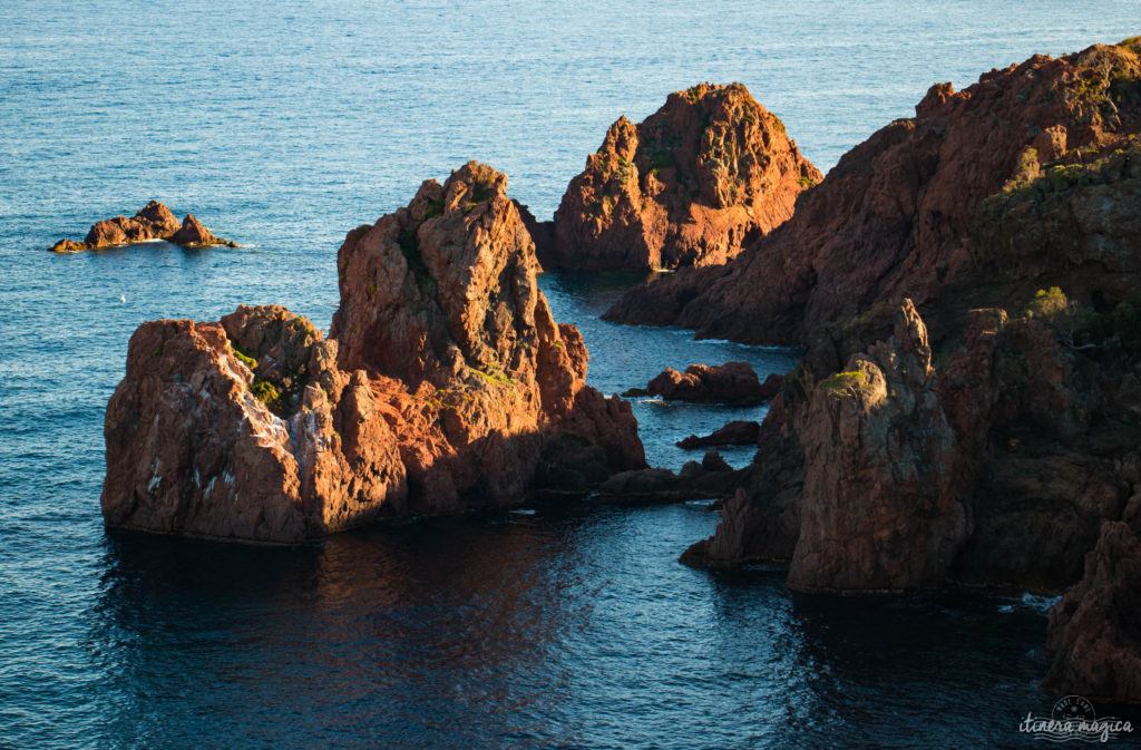 Les plus beaux points de vue de l'Estérel : panoramas et randonnées, découvrez Saint Raphaël en beauté.