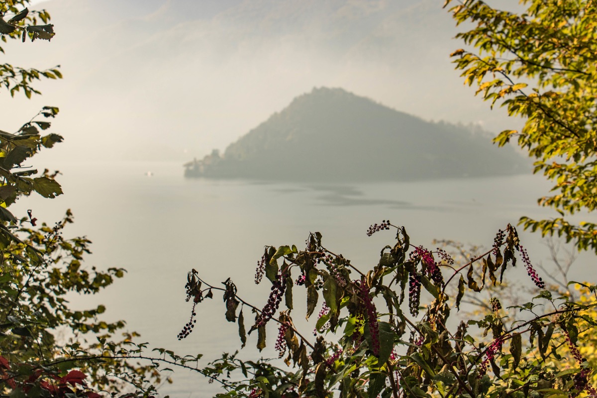 Que voir à Bellagio sur le lac de Côme ? Bellagio et les jardins de la villa Melzi à l’automne, la plus belle villa sur le lac de Côme. Bellagio blog