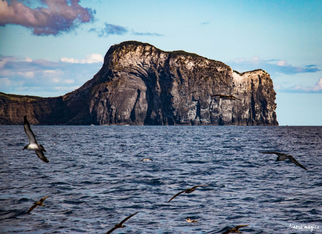 Vous ne connaissez pas les Açores? Une grande histoire d'amour vous attend. Découvrez le diamant de l'Atlantique, entre volcans, vagues et jardins. Que faire aux Açores, que voir ? Tout sur Itinera Magica, blog de voyage amoureux des lointains.