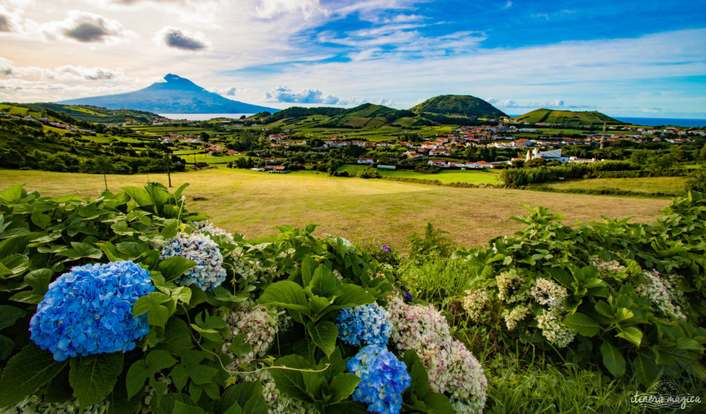 Vous ne connaissez pas les Açores? Une grande histoire d'amour vous attend. Découvrez le diamant de l'Atlantique, entre volcans, vagues et jardins. Que faire aux Açores, que voir ? Tout sur Itinera Magica, blog de voyage amoureux des lointains.