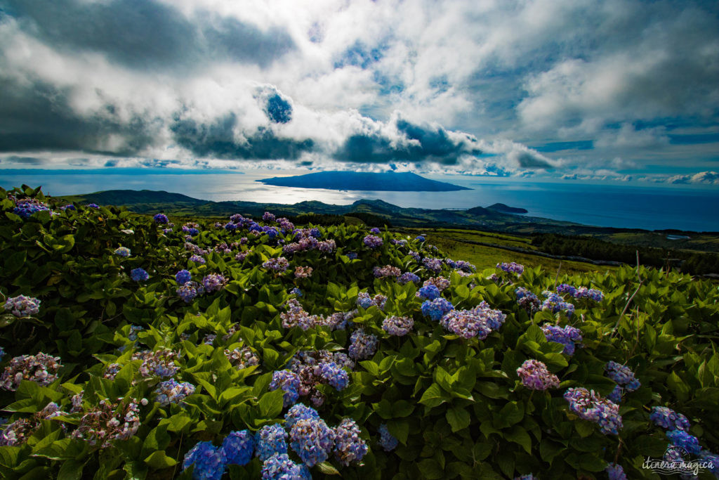 Que faire aux Açores ? Quelle île choisir aux Açores ? Faial