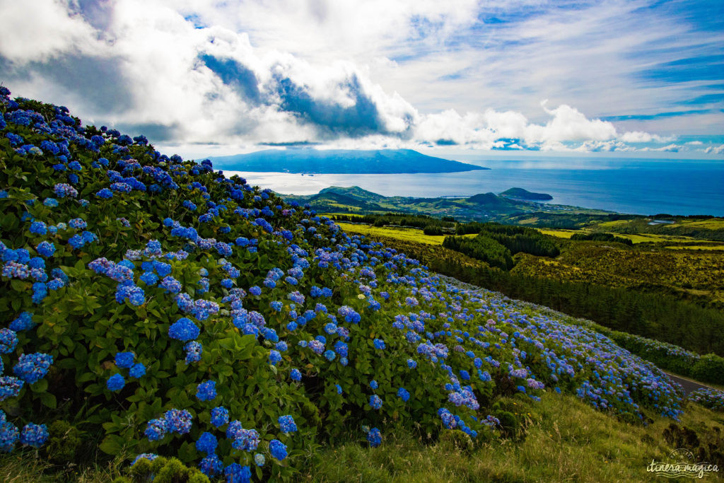 Vous ne connaissez pas les Açores? Une grande histoire d'amour vous attend. Découvrez le diamant de l'Atlantique, entre volcans, vagues et jardins. Que faire aux Açores, que voir ? Tout sur Itinera Magica, blog de voyage amoureux des lointains.