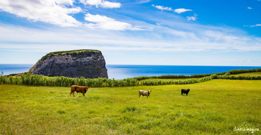 Vous ne connaissez pas les Açores? Une grande histoire d'amour vous attend. Découvrez le diamant de l'Atlantique, entre volcans, vagues et jardins. Que faire aux Açores, que voir ? Tout sur Itinera Magica, blog de voyage amoureux des lointains.