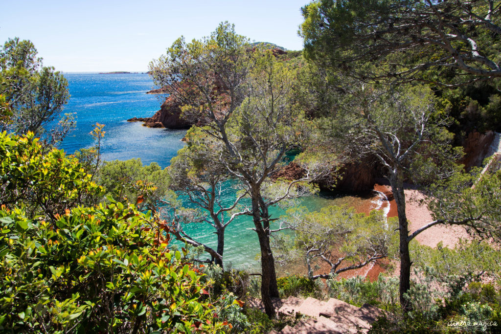 Les plus beaux points de vue de l'Estérel : panoramas et randonnées, découvrez Saint Raphaël en beauté.