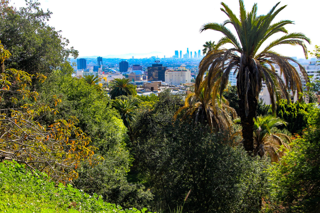 Runyon Canyon.