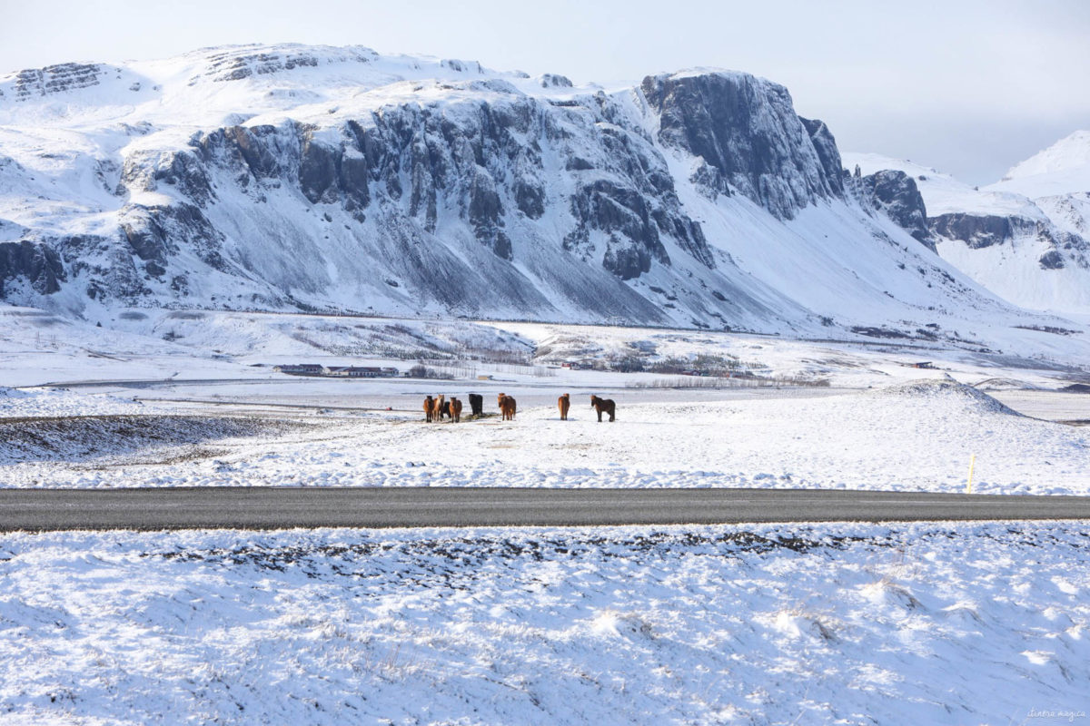 islande de l'ouest en hiver : de snaefellsnes à borgarnes, road trip dans l'ouest de l'islande en hiver