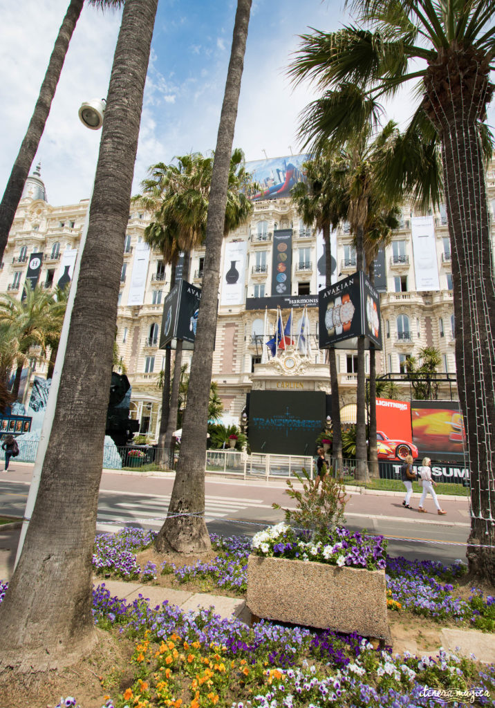 Festival de Cannes : j'ai monté les marches et je vous raconte.