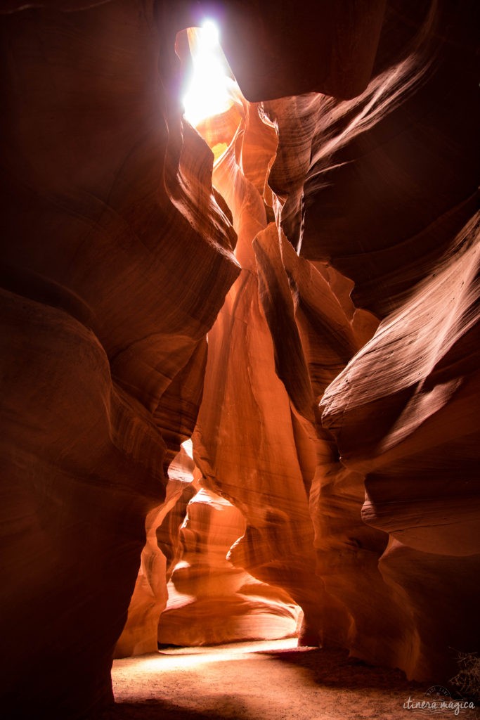 Antelope Canyon, c’est une brèche de lumière au creux de dunes de sables pétrifiées, des vagues de pierre patinées par les millénaires, et qui revêtent d’extraordinaires tons d’ocre, de rouge et de pourpre. Explorez l'Arizona sur Itinera Magica