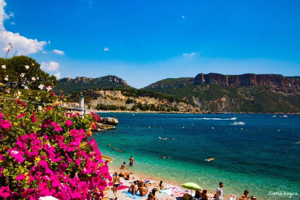 Cassis 