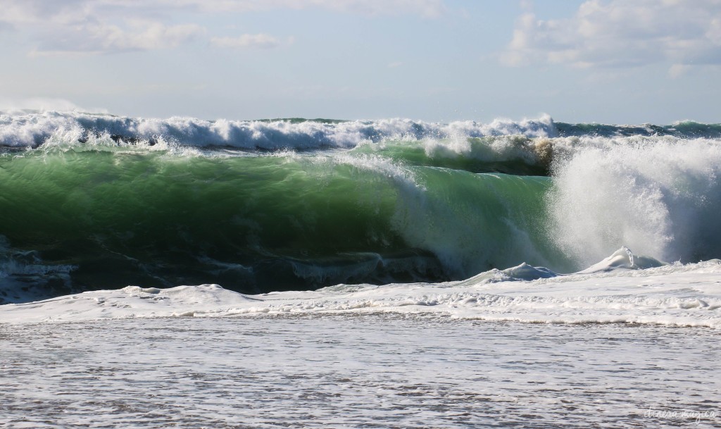 This Hossegor shorebreak isn't big enough to produce hissing or howling... but it's still lovely to watch.