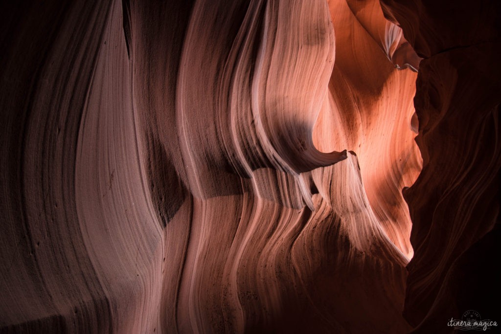 Antelope Canyon, c’est une brèche de lumière au creux de dunes de sables pétrifiées, des vagues de pierre patinées par les millénaires, et qui revêtent d’extraordinaires tons d’ocre, de rouge et de pourpre. Explorez l'Arizona sur Itinera Magica