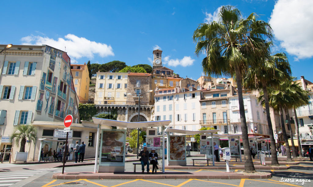 Festival de Cannes : j'ai monté les marches et je vous raconte.